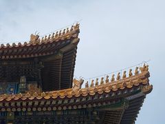 -故宫博物院(故宫)