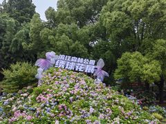 -上海滨江森林公园