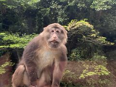 -西岭雪山大飞水景区