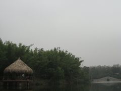 -广东茂名森林公园