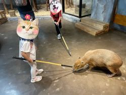 -Zoolung Zoolung动物主题公园(海信广场店)