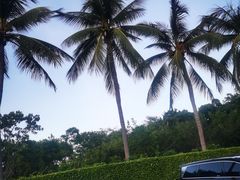 -大堂酒廊·亚龙湾万豪度假酒店