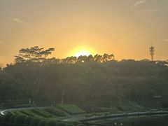 -东莞植物园