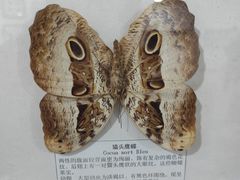-沈阳植物园