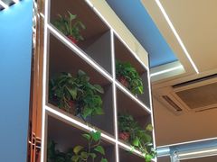 -寂寞的豆芽 蒙古原切大串(金宇店)