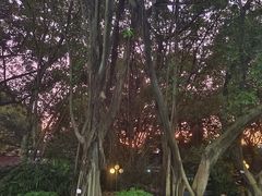 -星海公园(番禺区)