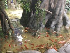 -临沂极地海洋王国