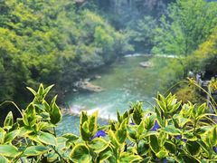 -郧西五龙河风景区