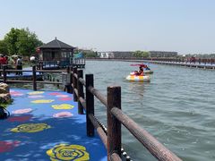 -鹅湖玫瑰文化园