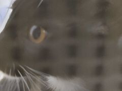 -拜鲁耶动物诊疗中心·宠家动物医院