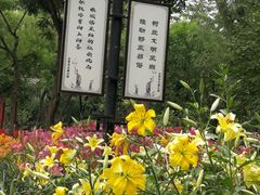 -文瀛公园