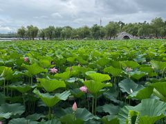 -长春市南湖公园