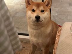 -翠贝卡&Mama Kelly Brunch Coffee(河西店)