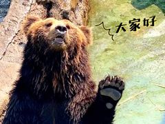-深圳野生动物园