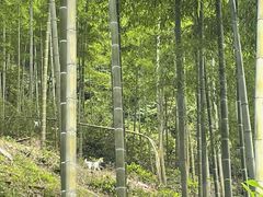 -将军关探险漂流