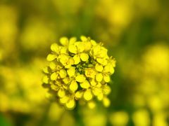 -昆山城市生态森林公园