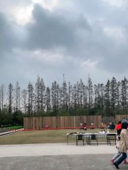 -前小桔亲子创意农场·草莓采摘·露营烧烤