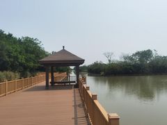 -大湾区中央湿地公园