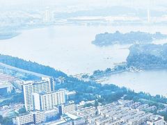 -紫峰大厦