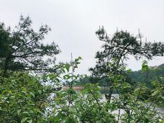-龙川湾千岛湖国际垂钓中心