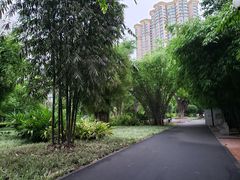-晓港公园
