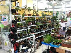 -无锡文化工艺品市场(槐古路店)