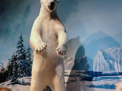 -陕西自然博物馆