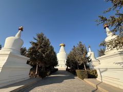 -凉州白塔寺景区