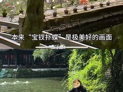-绮园景区