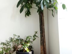 -星美科技皮肤管理中心(国贸店)