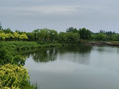 -东郊湿地公园