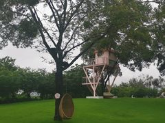 -福建鲤鱼洲酒店