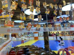 -贝+跆拳道(新天地道馆)