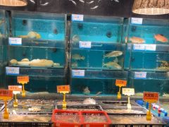 -潮粤香海鲜酒楼(沙湖店)