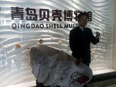 -青岛贝壳博物馆