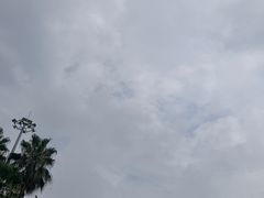-重庆海昌加勒比海水世界