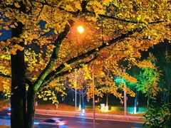 -西南政法大学(渝北校区)