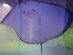 -重庆欢乐海底世界