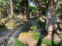 -Chom Cafe and Restaurant