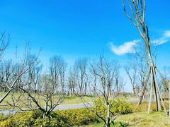 -白鹭湾湿地公园