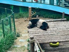 -大连森林动物园