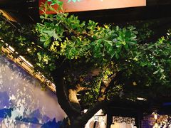 大堂-绿茶餐厅(石家庄万象城店)