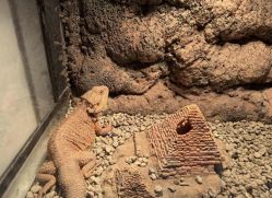 点击看大图 -酷嗒动物文化乐园(cutezoo西溪乐天城店)