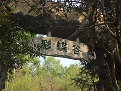-天目湖山水园