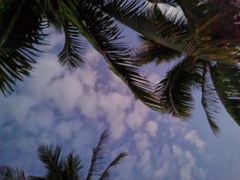 -海南清水湾莱佛士酒店