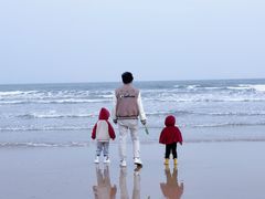 -日照海滨国家森林公园