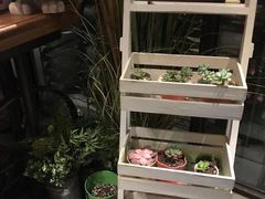 -时光码头民谣公社