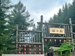 -苏木山森林公园