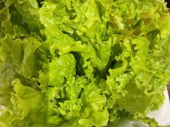 -草原塞蛮羊火锅城(港湾店)