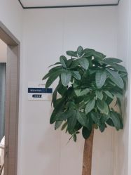 -郑荃丽格医疗美容